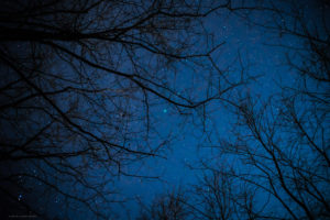 Astrofotografa Alessia Scarso astrofotografia paesaggio notturno alberi cielo stellato Cometa 46P/Wirtanen Nettuno