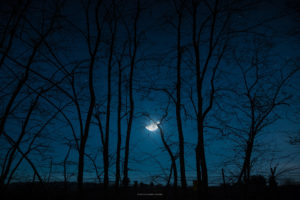 Astrofotografa Alessia Scarso astrofotografia paesaggio notturno alberi cielo stellato luna Nettuno