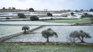 Alessia Scarso fotografa paesaggio iblei neve ulivi campi