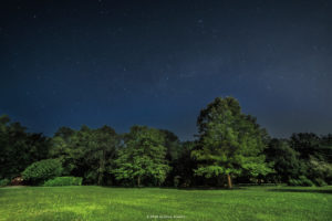 Alessia Scarso astrofotografa astrofotografia cielo stellato su bosco di Aviano