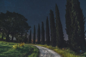 Astrofotografa Alessia Scarso astrofotografia strada sterrata cipressi umbria cielo stellato